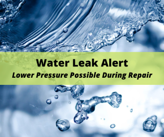 Water Leak Alert